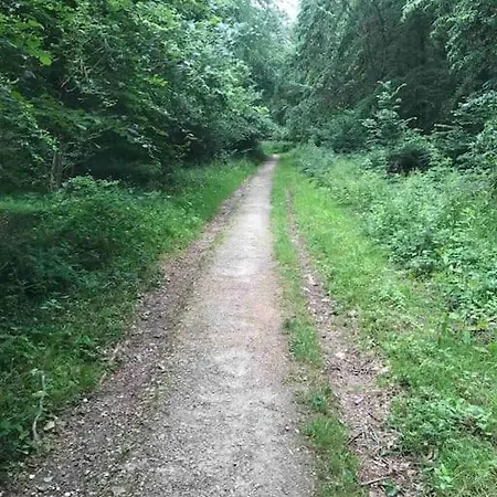 Bienvenue Chez Moi *